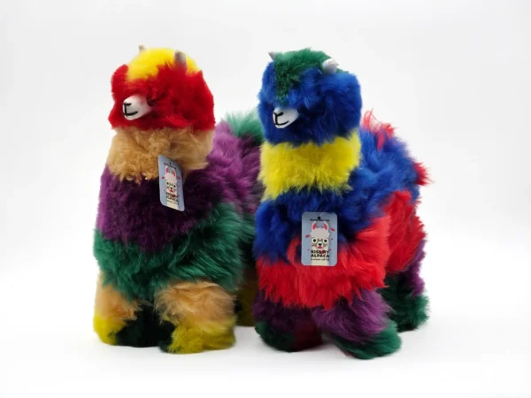 Rainbow Collection - Image 3