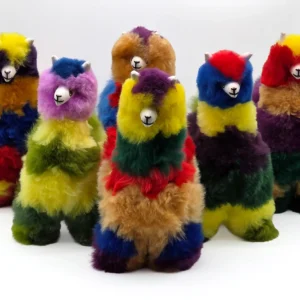 Rainbow Collection