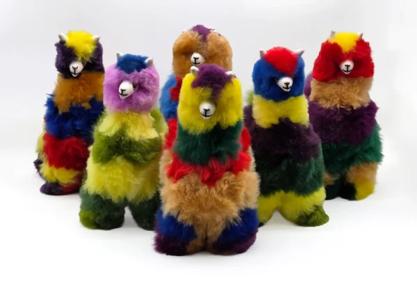 Rainbow Collection