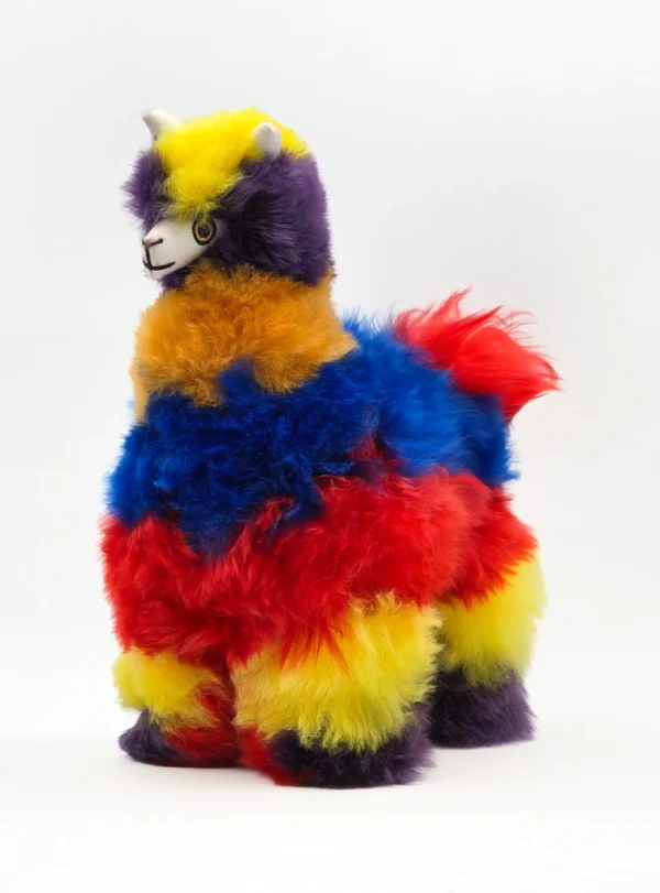 Rainbow Collection - Image 7