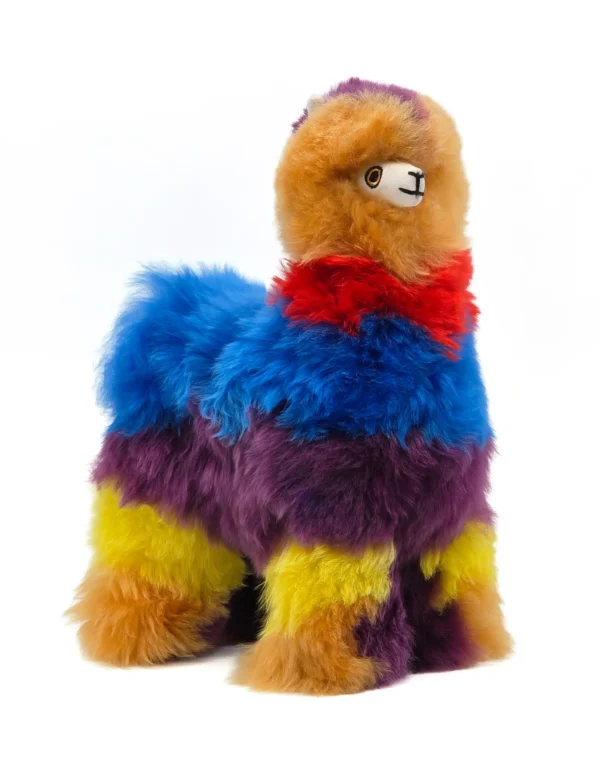 Rainbow Collection - Image 4