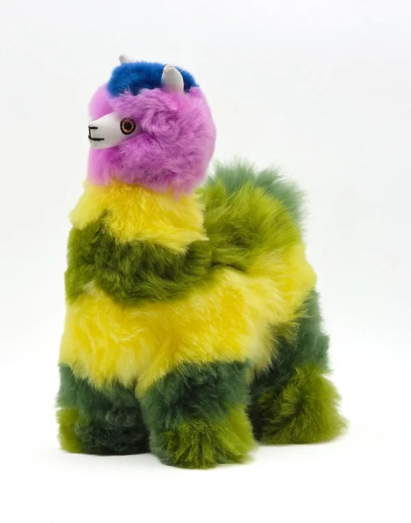 Rainbow Collection - Image 12