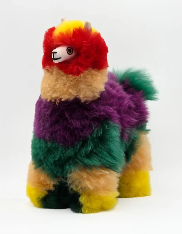 Rainbow Collection - Image 6