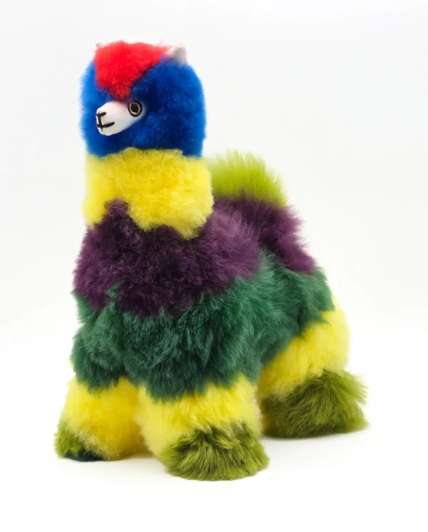 Rainbow Collection - Image 2