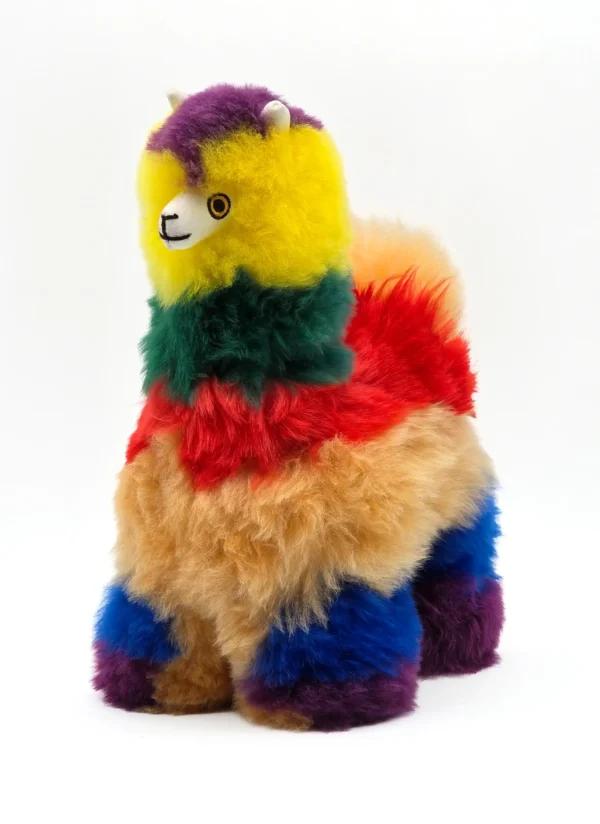 Rainbow Collection - Image 8