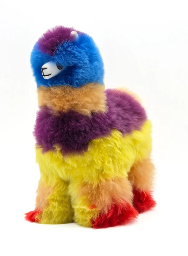 Rainbow Collection - Image 9