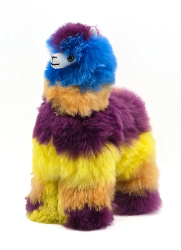 Rainbow Collection - Image 11
