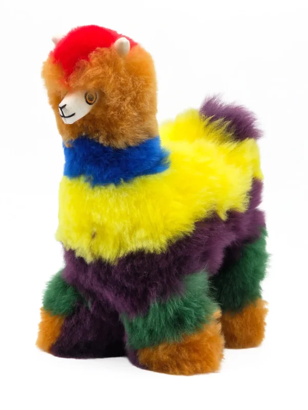 Rainbow Collection - Image 5