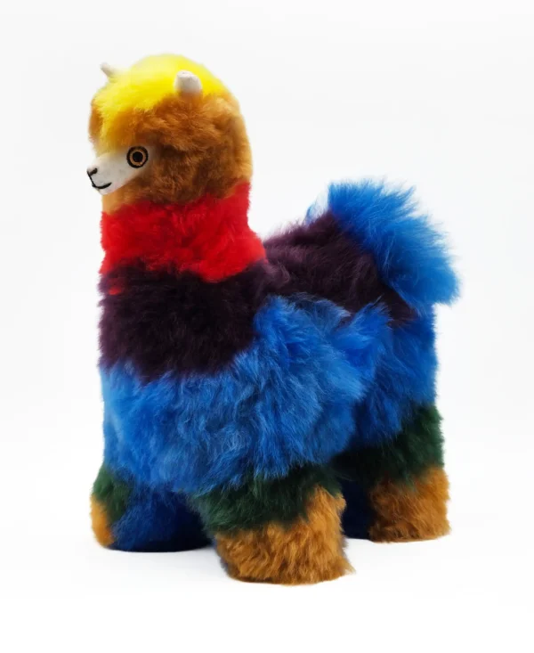 Rainbow Collection - Image 10