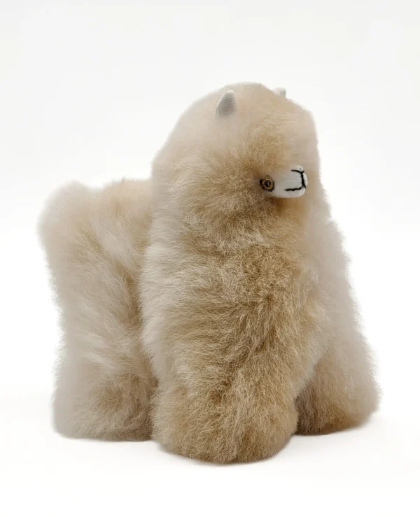 Candy Floss & Earth Tones Collection - Image 4