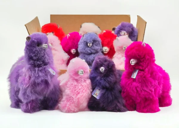 Candy Floss Collection
